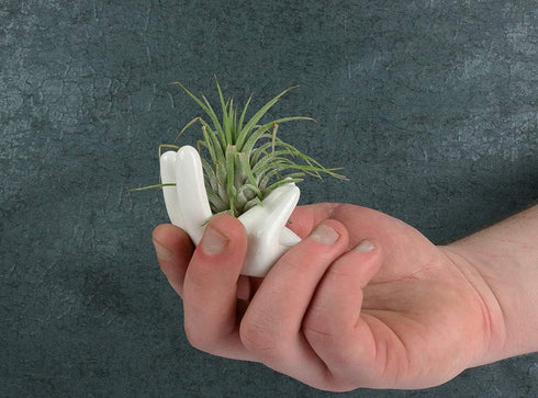 4 Pack Air Plant Holders Unique Ceramic Mini Airplants Stand Tillandsia Succulent Display Container Pot Cute Home Decor for Desk Table Shelf Windo...