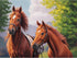 YIYUE Paint by Number for Adults Beginner, DIY Gift Canvas Painting Kits for Boys Girls, Horse Oil Painting Kit, DIY Acrylic Paint Adult Crafts fo...