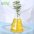 Utile Glass Erlenmeyer Flask Set, 50ml Narrow Mouth Erlenmeyer Flasks, 6pcs of Borosilicate 3.3 Glass Conical Flasks for Laboratory with Printed G...