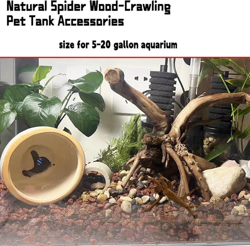 Hamiledyi Driftwood for Aquarium,Natural Spider Wood Reptile Branches Fish Tank Log Ornament Aquarium Trunk Decoration 4 Pcs?8-10inch?...