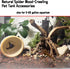 Hamiledyi Driftwood for Aquarium,Natural Spider Wood Reptile Branches Fish Tank Log Ornament Aquarium Trunk Decoration 4 Pcs?8-10inch?...