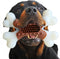 Beef Flavor Durable Nylon Bone Dog Toy for Medium and Large Breeds (Brown)...
