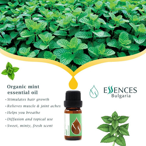 Essences Bulgaria Organic Mint Essential Oil 1/3 Fl Oz | 10ml | Mentha arvensis | 100% Pure and Natural | Undiluted | Therapeutic Grade | Family O...