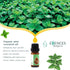 Essences Bulgaria Organic Mint Essential Oil 1/3 Fl Oz | 10ml | Mentha arvensis | 100% Pure and Natural | Undiluted | Therapeutic Grade | Family O...