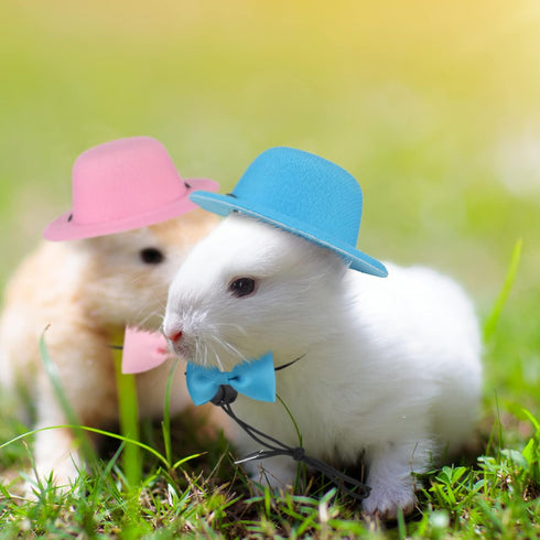 4 Sets 8 Pieces Guinea Pig Clothes Small Animal Bow Ties Pet Hats Outfit Suit Cosplay Cool Kawaii Pet Black Hat for Hamster Ferret Cat Rats Puppy ...