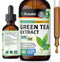 Green Tea Extract Tincture - Organic Green Tea Supplements with EGCG - Antioxidant Source - Immune Support Supplement - Alcohol and Sugar Free - V...
