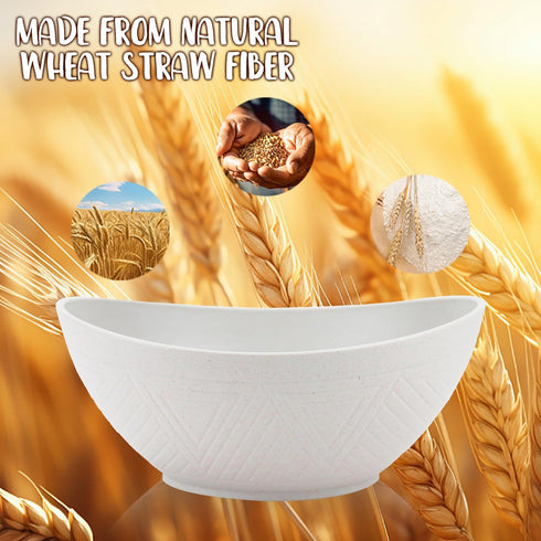Wheat Straw Bowls Set of 2,Unbreakable Salad Bowls,Plastic Bowls Dishwasher & Microwave Bowls,Sturdy and Stackable Kitchen Bowls for Serving,Oatme...