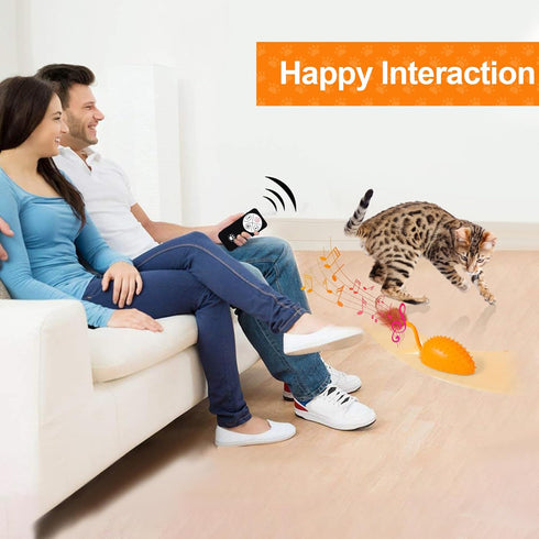 BABORUI Upgraded Cat Interactive Toy, Remote Control Mouse Toy, Automatic Cat Mouse Toys with Feathers, Moving Smart Cat Toy Car for Indoor Cats, ...