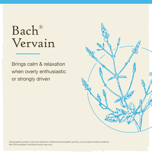 Bach Original Flower Remedies, Vervain for Relaxation and Calm (Non-Alcohol Formula), Natural Homeopathic Flower Essence, Holistic Wellness and St...