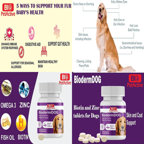 Bio Pet Active BiodermDOG 0.5 Zinc and Biotin Tablets for Dogs, Immune System, Skin, Coat and Nail Support for Dogs, 1.32 oz, 75 Chewable Tablets...