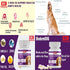 Bio Pet Active BiodermDOG 0.5 Zinc and Biotin Tablets for Dogs, Immune System, Skin, Coat and Nail Support for Dogs, 1.32 oz, 75 Chewable Tablets...