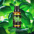 Basil Essential Oil, Essential Oil,100% Natural Essential Oil-Perfect for Diffuser, Humidifier,Aromatherapy, Massage,Skin & Hair Care,1.01fl oz...