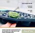 Trudeau Structure Silicone Muffin Pan, 24 Cup Mini, Grey/Mint...