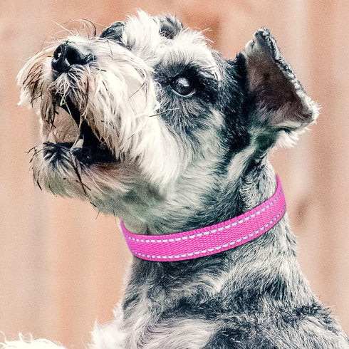 PetJoy Shock Collar Replacement Collar Strap, Reflective Dog Collars Strong, Durable & Adjustable Dog Collar- 2 Piece Set Collar for Dogs...