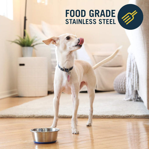 OurPets DuraPet Stainless Steel Dog Bowls, Dog Food Bowls & Dog Water Bowls (Up To 1.25 cups Great for Small Breeds)...