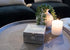 Cottage Garden Home Dog Pawprint Silver Tone Metal Jewelry Keepsake Box...
