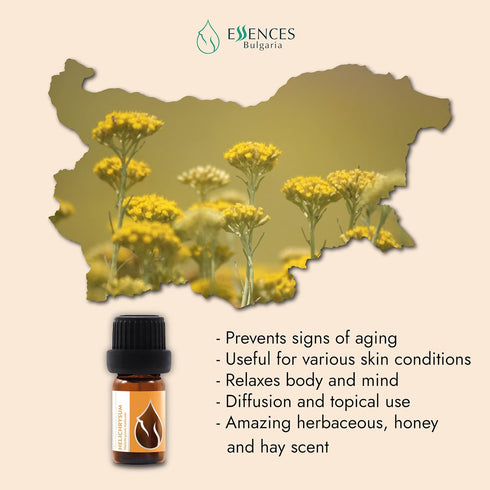 Organic Helichrysum Essential Oil 1/6 Fl Oz | 5ml | Helichrysum italicum | 100% Pure and Natural | Undiluted | Therapeutic Grade | Family Owned Fa...