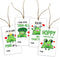 Valentine’s Day Gift Tags Cute Frog Theme DIY Present Wrap Hang Label with Twine Kids Hang Name Label Valentine's Day Anniversary Party Wrapping S...