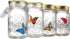 Butterfly in a Jar, Glass Animated Butterfly In A Jar With LED Light Gift Decoration (Blue)...