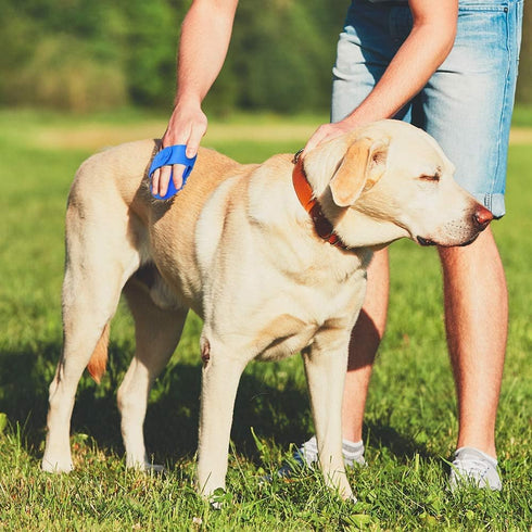 Pet Dematting Undercoat Rake + 2 Pack Dog Pet Bath Grooming Brush - Undercoat Rake Grooming Tool Deshedding Tangles Removing - Shedding Brush Dema...