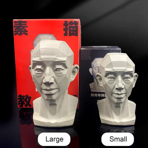 Generic Planar Head Model for Artists Learn Planes of Face, Human Manikin Head for Medical and Artistic Drawing Skecthing Painting, Color White (L...