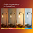 Vintage ST19 Clear Spiral Dimmable LED Light Bulbs - E26 Bulb - Flicker-Free Light Bulb with EyeComfort Technology - Daylight 5000K Lightbulb - 40...