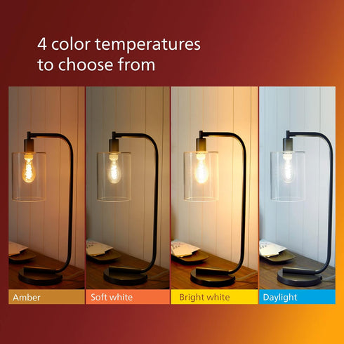 Vintage Spiral ST19 Dimmable LED Light Bulbs - E26 Bulb - Flicker-Free Light Bulb with EyeComfort Technology - Amber 2000K Lightbulb - 300 Lumen -...