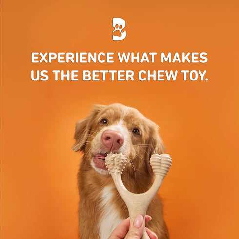 All-Natural, Nylon-Free Dog Chew Toys - Hard Density - Ideal for Strong to Aggressive Chewers - Non-Toxic, Promotes Dental Health, Splinter-Resist...