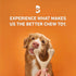 All-Natural, Nylon-Free Dog Chew Toys - Hard Density - Ideal for Strong to Aggressive Chewers - Non-Toxic, Promotes Dental Health, Splinter-Resist...