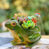 Set of 2 Frog Planter Resin Frog Flower Pot, Bonsai Pot/Flower Pot/Succulent Planter?Multipurpose Pot for Indoor Home Desk Decoration...