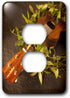 3dRose lsp_89789_6 Ukulele, Hawaii Us12 Dpb2181 Douglas Peebles Light Switch Cover...