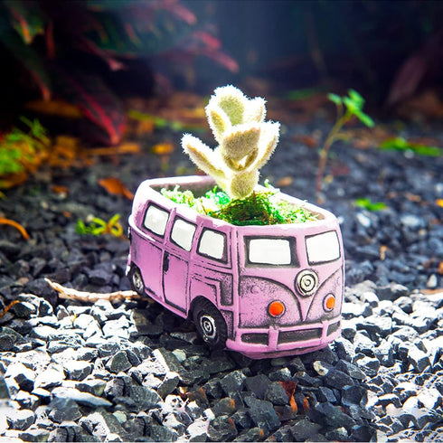 Cute Succulent Plants Pots, Small Planter Pots with Drainage Hole, Flower Pots for Home Indoor Outdoor Garden Decoration (Purple Bus)...