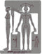Pickett Female Human Figure Template (1141I)...