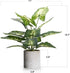 Velener 1Pc Faux Plant Indoor in Plant Pot 16"- House Plant for Farmhouse Kitchen Decor Living Room Accessories Home Office Cubicle Bookshelf Gues...