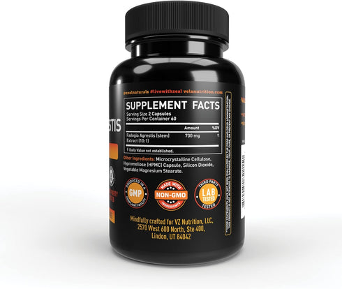 Fadogia Agrestis 700mg - 120 Count | Non-GMO & 3rd Party Tested Powerful Antioxidant Support Supplement...