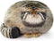 Steppe Cat Plush, Cat Stuffed Animal 35cm/14inch, Pallas Cat Plush Pillow, Cute Plushies for Girls, Soft Plush Pillow, Throw Pillow Doll Decoratio...