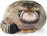 Steppe Cat Plush, Cat Stuffed Animal 35cm/14inch, Pallas Cat Plush Pillow, Cute Plushies for Girls, Soft Plush Pillow, Throw Pillow Doll Decoratio...
