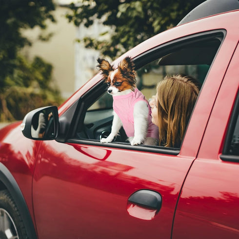 6 Pieces Dog Shirt Puppy Sweatshirt Pet Sleeveless Vest Girl Dog Clothes Doggy Female Apparel for Small to Medium Dogs Puppy Cat (Cute Patterns, S...