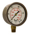 Winters 2-1/2" Dial Size, Liquid Filled Industrial Pressure Gauge, Brass Internals, 304 Stainless Steel Case, Single Scale 0-1,000 psi, 1.5% Acc, ...