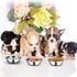 ChengFu Small Dog Food Bowls,Little DogFood Bowl,Puppy Dog Food Bowl, Made of Stainless Steel,can be Filled with Water or Dog Food Two Packs...