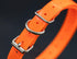 27 ½” X ¾” Replacement Dog Collar Strap Band with Double Buckle Loop for All Brands Pet Training Bark, Shock,e-Collars and Fences. Wide Variety of...