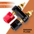 4MM Copper 2-Way Banana Plug Jack Socket Binding Post Video Speaker Terminal Connectors Power Amplifier Dual Gold Plated Insulated Terminals(6Pcs ...