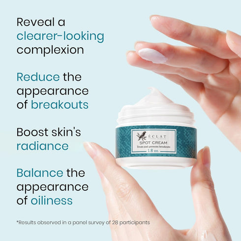Eclat Skincare Spot Treatment for Face - Salicylic Acid Pimple Spot Treatment for Face - Spot Cream Pimple Cream Facial Blemish Spot Treatment - C...