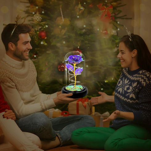 Childom Birthday Gifts for Women,Christmas Flowers Gifts for Her,Women,Mom,Wife,Grandma,Light Up Rose in Glass Dome,Colorful Purple Flowers for Ch...