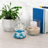 Elanze Designs Beluga Whales Tabletop Dresser Nightstand Figurine Decoration 100MM Sturdy Glitter Water Wind Up Musical Snow Globe Plays Tune Let ...