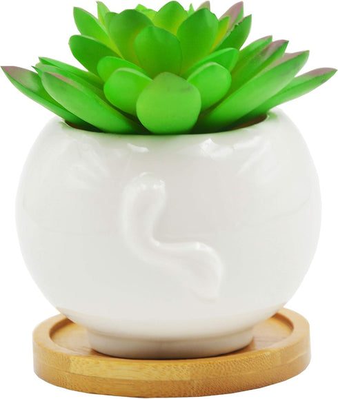 Cuteforyou Succulent Pots,Cute Cartoon Ceramic Succulent Cactus Flower Pot,Pencil Holders,Desk Accessories, Makeup Brush Storage Stand-Plant Not I...