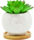 Cuteforyou Succulent Pots,Cute Cartoon Ceramic Succulent Cactus Flower Pot,Pencil Holders,Desk Accessories, Makeup Brush Storage Stand-Plant Not I...
