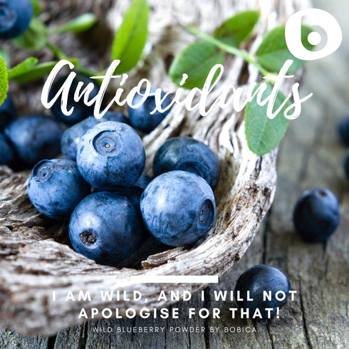 Organic Wild Blueberry Powder, Bilberry Powder - from Freeze Dried Blueberries, Frozen Blueberries - High in Anthocyanins & Polyphenols - for Smoo...