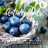Organic Wild Blueberry Powder, Bilberry Powder - from Freeze Dried Blueberries, Frozen Blueberries - High in Anthocyanins & Polyphenols - for Smoo...