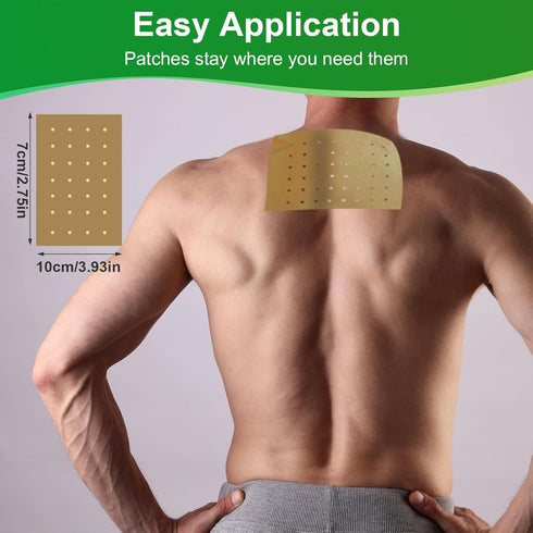Heat Patches, 60 Count Warming Herbal Plaster Maximum Strength Joint Patches, 24 Hour Long Lasting Heating Joint Soreness Relieving Patch for Back...